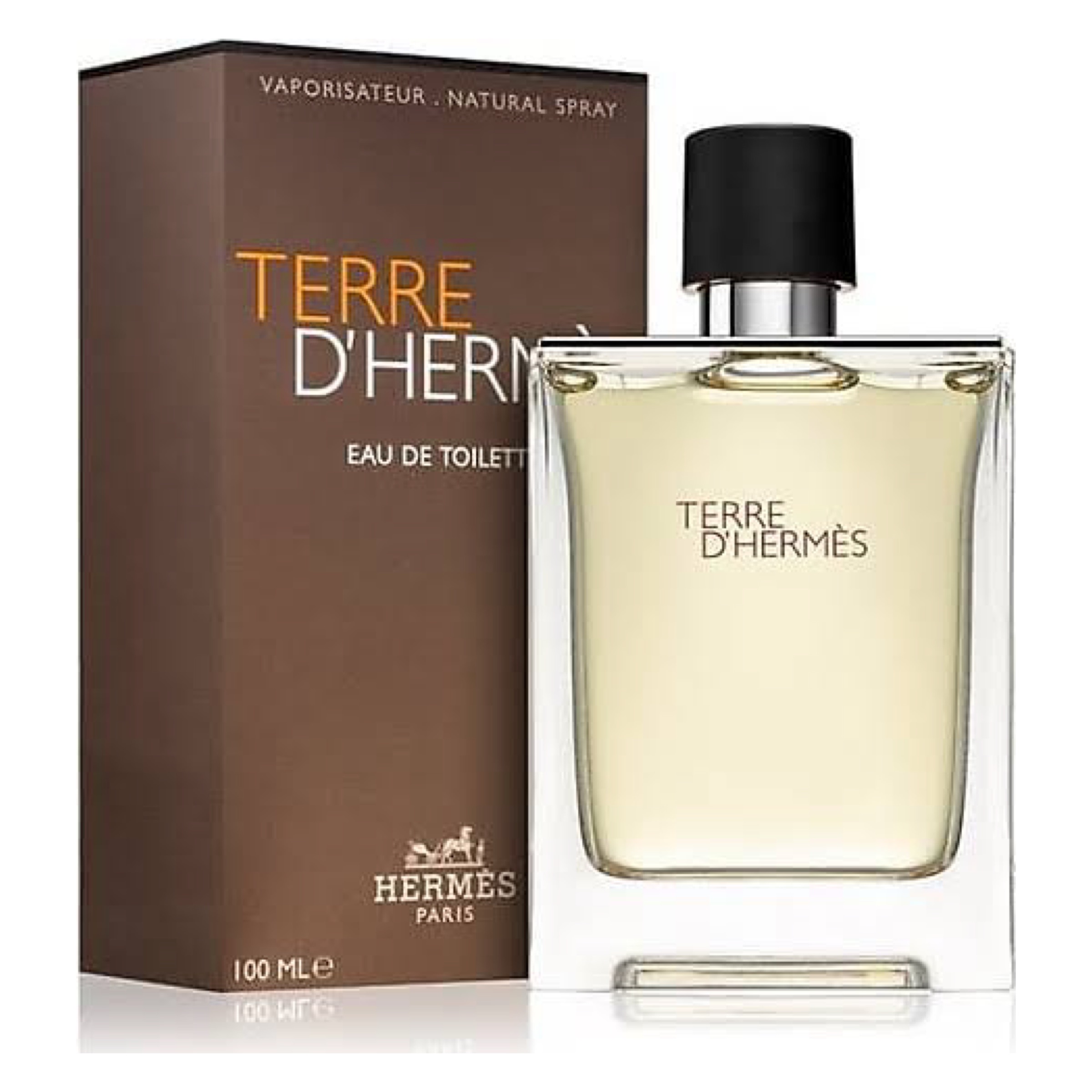 Terre D`Hermes EDT 100 ML Erkek Parfüm