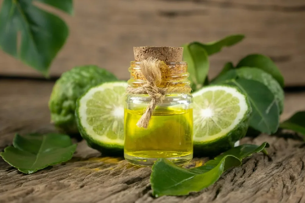 Bergamot Parfüm