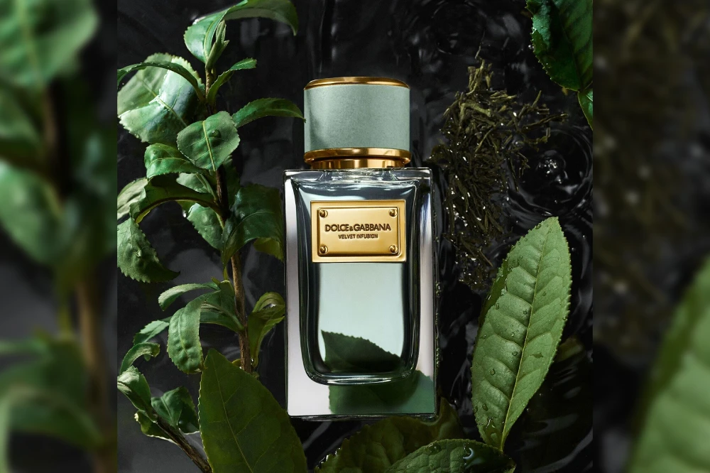 Dolce & Gabbana Velvet Infusion Parfüm