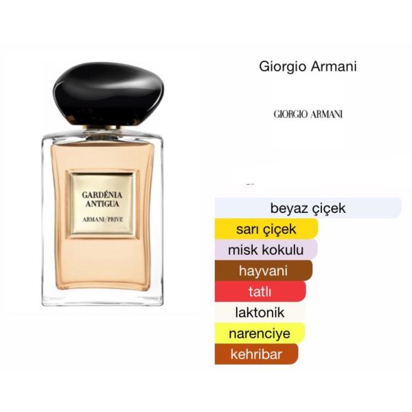 Giorgio Armani Prıve Gardenıa Antigua EDT 100 ML Unisex Parfüm - Görsel 2