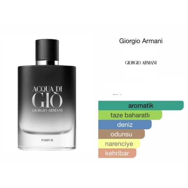 Giorgio Armani Acqua Di Gio Le Parfum 100 ML Erkek Parfüm - Görsel 2
