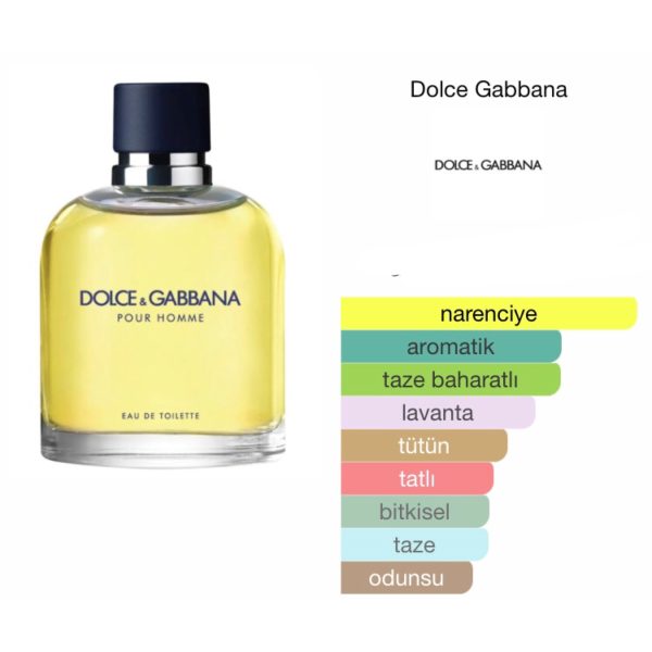 Dolce & Gabbana Pour Homme EDT 125 ML Erkek Parfüm - Görsel 2