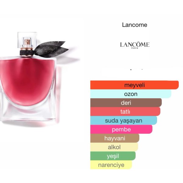 La Vie est Belle Elixir EDP 75 ML Kadın Parfüm - Görsel 2