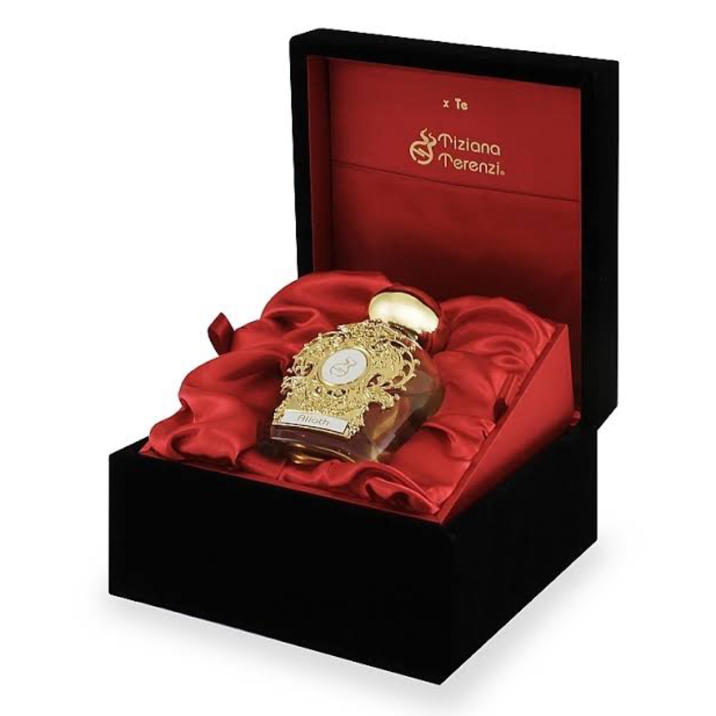 Tiziana Terenzi Assoluto Alioth 100 ML Unisex Parfüm - Görsel 2