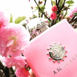 Alternative view of Amouage Blossom Love EDP 100 ML Kadın Parfüm