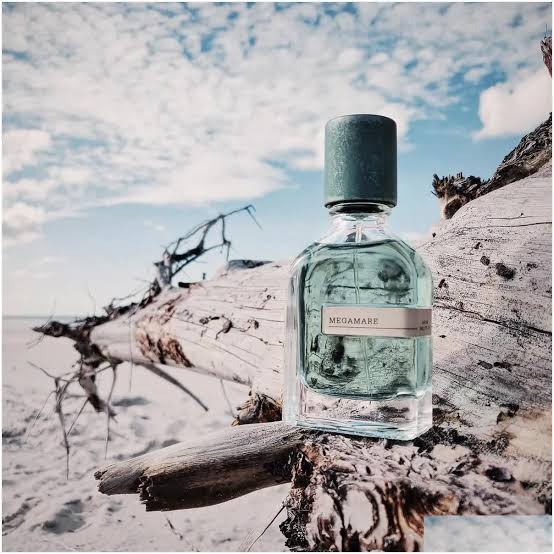 Orto Parisi Megamare EDP 50 ML Unisex Parfüm - Görsel 3