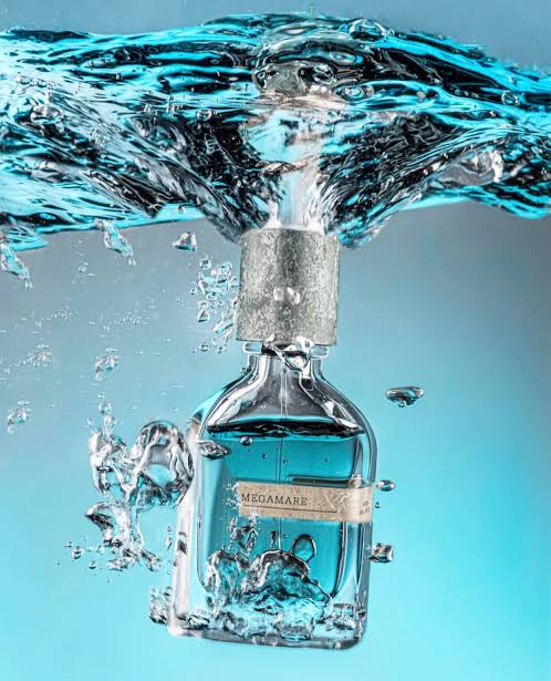 Orto Parisi Megamare EDP 50 ML Unisex Parfüm - Görsel 2