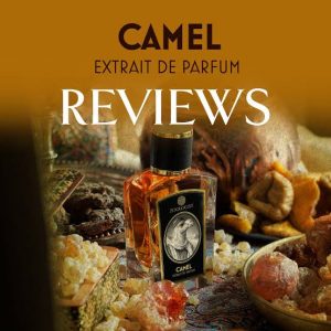 Alternative view of Zoologıst Camel Extrait De Unisex Parfum 60 ML