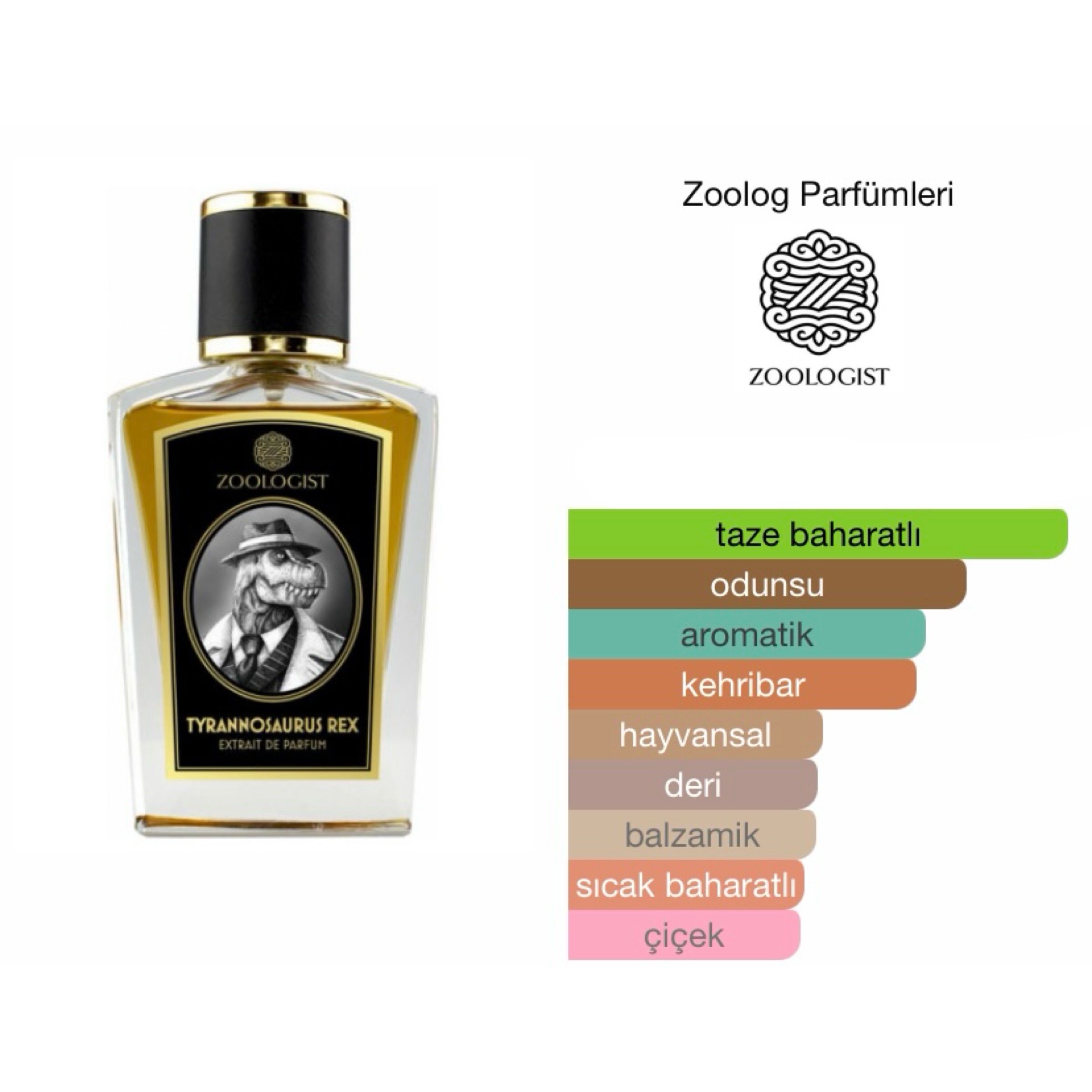 Zoologıst Tyrannosaurus Rex Extrait De Unisex Parfum 60 ML - Görsel 2