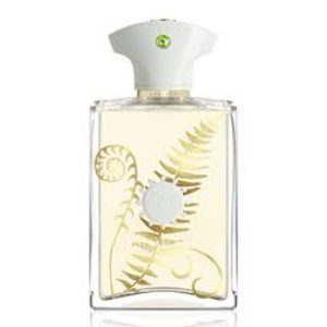Amouage Bracken EDP 100 ML Erkek Tester Parfüm